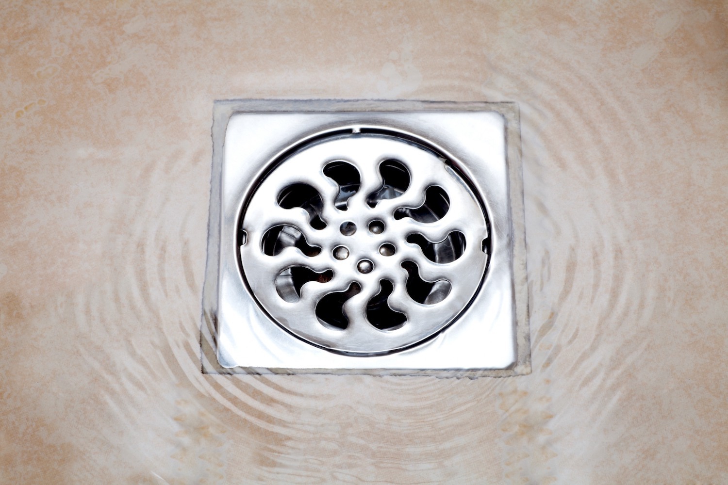 Why Does My Shower Drain Smell?