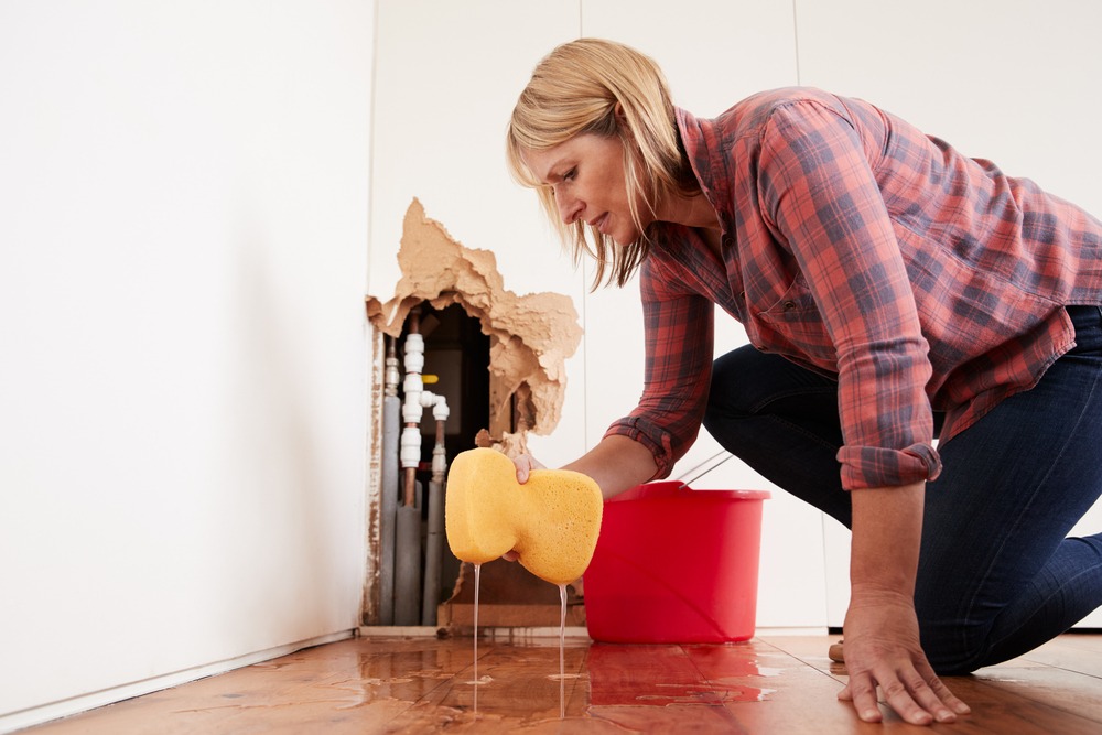 What are Some of the Most Common Plumbing Emergencies?